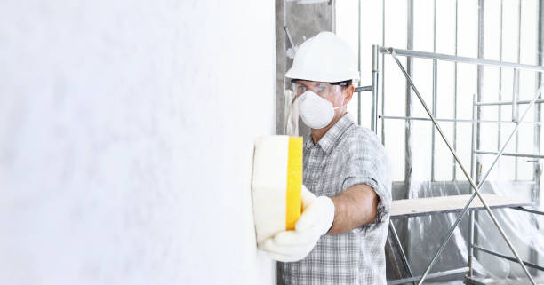 Best Asbestos and Lead Testing During Mold Inspection  in Fanning Springs, FL