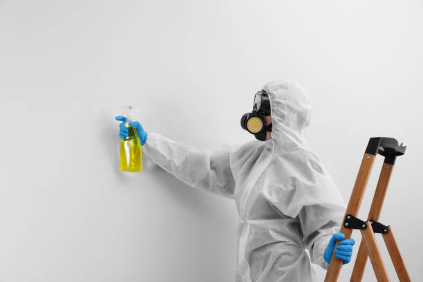 Best Forensic Mold Investigation  in Fanning Springs, FL